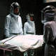 Image for article titled Helix will definitely freak you out -- but will it stay gold?